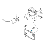 OEM Kia Sephia Cap Assembly-Radiator Diagram - 253303Z000