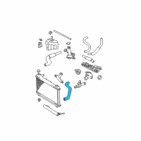 OEM Lexus ES300 Hose, Radiator, NO.2 Diagram - 16572-AA030