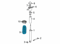 OEM Kia Seltos Rear Springs Diagram - 55330Q5UB0