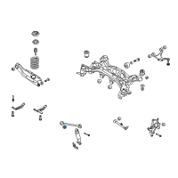 OEM 2012 Kia Sorento Bush-Trailing Arm Diagram - 551182B000