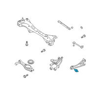 OEM Kia Rondo Bush-Trailing Arm Diagram - 555432G000