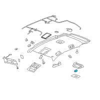 OEM 2013 Chevrolet Captiva Sport Dome Lamp Bulb Diagram - 19117054