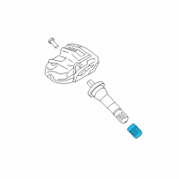 OEM 2018 Lincoln Continental TPMS Service Kits Diagram - F2GT1A163AA