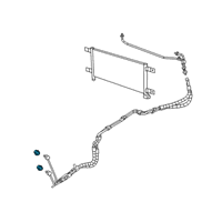 OEM 2020 Ram 2500 Fitting-Quick Connect Diagram - 55111025AB