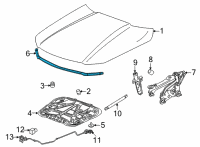 OEM 2022 Cadillac CT4 Front Weatherstrip Diagram - 84774532