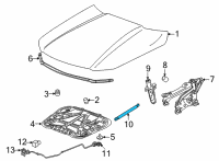OEM Cadillac CT4 Support Cylinder Diagram - 84831898