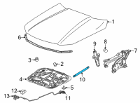 OEM 2020 Cadillac CT4 Support Cylinder Diagram - 84831898
