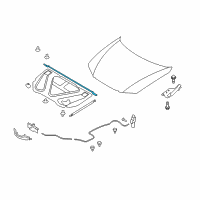 OEM 2011 Hyundai Azera Weatherstrip-Hood Diagram - 86430-3L000