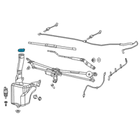 OEM 2016 Ram 1500 Cap-Washer Reservoir Diagram - 68230056AA