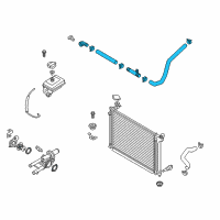 OEM Hyundai Hose Assembly-Radaator, Lower Diagram - 25415-C2100