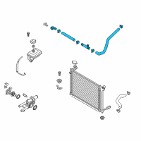 OEM Hyundai Sonata Hose Assembly-Radaator, Lower Diagram - 25415-C2100