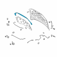 OEM 2019 Ford Police Responder Hybrid Front Weatherstrip Diagram - DS7Z-16B990-F