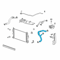 OEM Buick Verano Lower Hose Diagram - 13251439