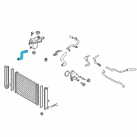 OEM 2011 Lexus CT200h Hose, Radiator, NO.2 Diagram - 16572-37120