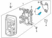 OEM 2021 Ford Bronco Tail Lamp Bulb Diagram - JL3Z-13466-D