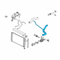 OEM 2002 Oldsmobile Alero Radiator Outlet Hose (Lower) Diagram - 22621759