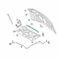 OEM 2020 Ford F-250 Super Duty Front Weatherstrip Diagram - HC3Z-16B990-A