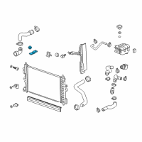 OEM Chevrolet Radiator Lower Bracket Diagram - 13337826