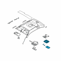 OEM 2007 Kia Amanti Lamp Assembly-OVERHEADEAD Console Diagram - 928103901026