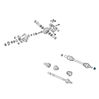 OEM 2015 Chevrolet Caprice Axle Nut Diagram - 92216821