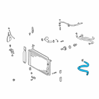 OEM 2003 Toyota Prius Lower Hose Diagram - 16571-21040