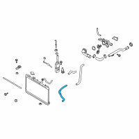 OEM 2008 Kia Spectra5 Hose-Radiator Lower Diagram - 254122F110