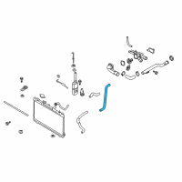 OEM 2008 Kia Spectra5 Hose-Radiator Lower Diagram - 254122F210