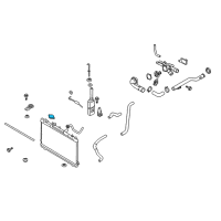 OEM 2006 Kia Spectra5 Cap Assembly-Radiator Diagram - 253303C100