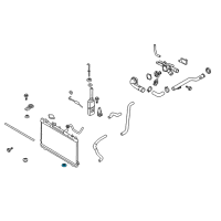 OEM Plug-Radiator Drain Diagram - 253182F000