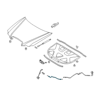 OEM Kia Amanti Cable Assembly-Hood Latch Diagram - 811903F100