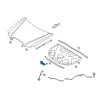 OEM 2006 Kia Amanti Hood Latch Assembly Diagram - 811303F000