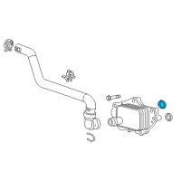 OEM Chevrolet Oil Cooler Gasket Diagram - 55576423