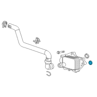 OEM Chevrolet Oil Cooler Gasket Diagram - 55576424