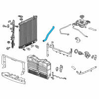 OEM Chevrolet Colorado Lower Hose Diagram - 84463186