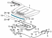 OEM 2021 GMC Sierra 2500 HD Front Weatherstrip Diagram - 84769113