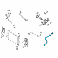 OEM 2015 Kia Optima Hose Assembly-Radiator Lower Diagram - 254154R010