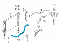 OEM Nissan Versa Hose-Lower Diagram - 21503-5RB0B