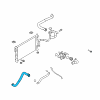 OEM 2007 Lincoln MKX Lower Hose Diagram - AT4Z-8286-A