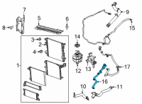 OEM 2022 Jeep Wrangler Hose-COOLANT Bottle Outlet Diagram - 68283412AD