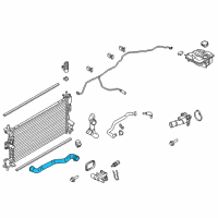 OEM 2017 Ford Focus Upper Hose Diagram - CV6Z-8260-K