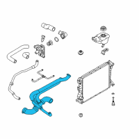 OEM 2010 Ford Mustang Lower Hose Diagram - HR3Z-8286-B