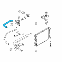 OEM 2014 Ford Mustang Coolant Hose Diagram - 7R3Z-8A595-B