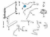 OEM 2022 Ford Maverick HOSE - RADIATOR Diagram - LX6Z-8286-Y