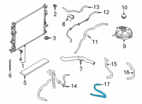 OEM Ford Maverick HOSE - HEATER WATER Diagram - LX6Z-18N344-BAC