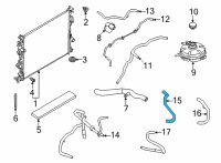 OEM Ford Maverick HOSE - HEATER WATER Diagram - LX6Z-18472-BAD