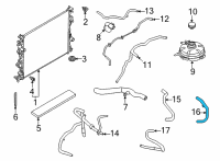 OEM Ford Maverick HOSE - HEATER WATER Diagram - LX6Z-18N345-BAD