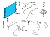OEM 2022 Ford Maverick RADIATOR ASY Diagram - MX6Z-8005-B