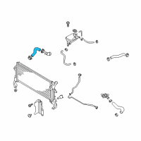 OEM 2019 Hyundai Elantra Hose-Radiator Lower Diagram - 25412-F3300