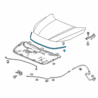 OEM 2019 Honda Insight SEAL RUB, HOOD Diagram - 74146-TXM-A01