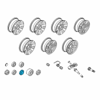 OEM 2021 Ford F-350 Super Duty Wheel Cap Diagram - HC3Z-1130-P